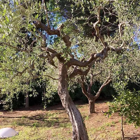 Villino Ada Trebbiantico